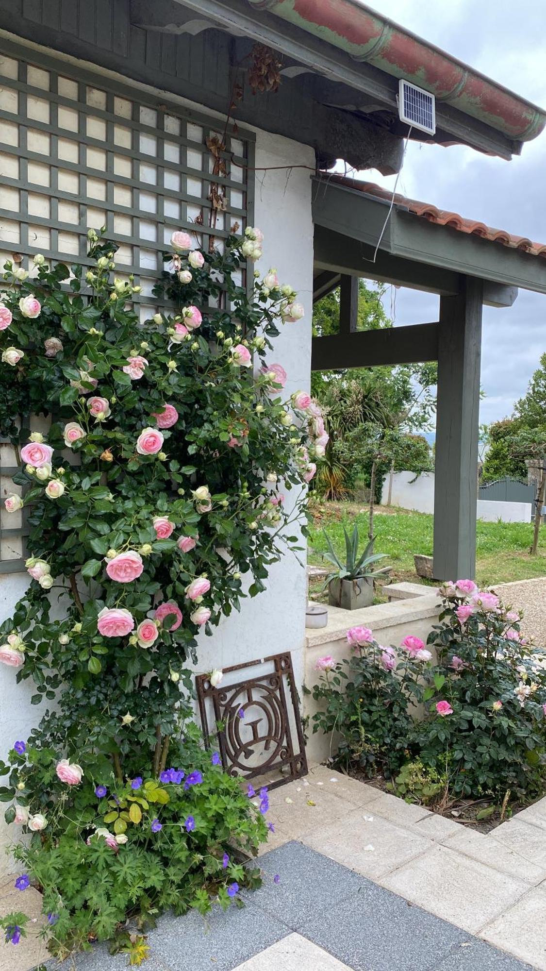 La Bastide De Guiche Entre Ocean Et Montagnes公寓 外观 照片