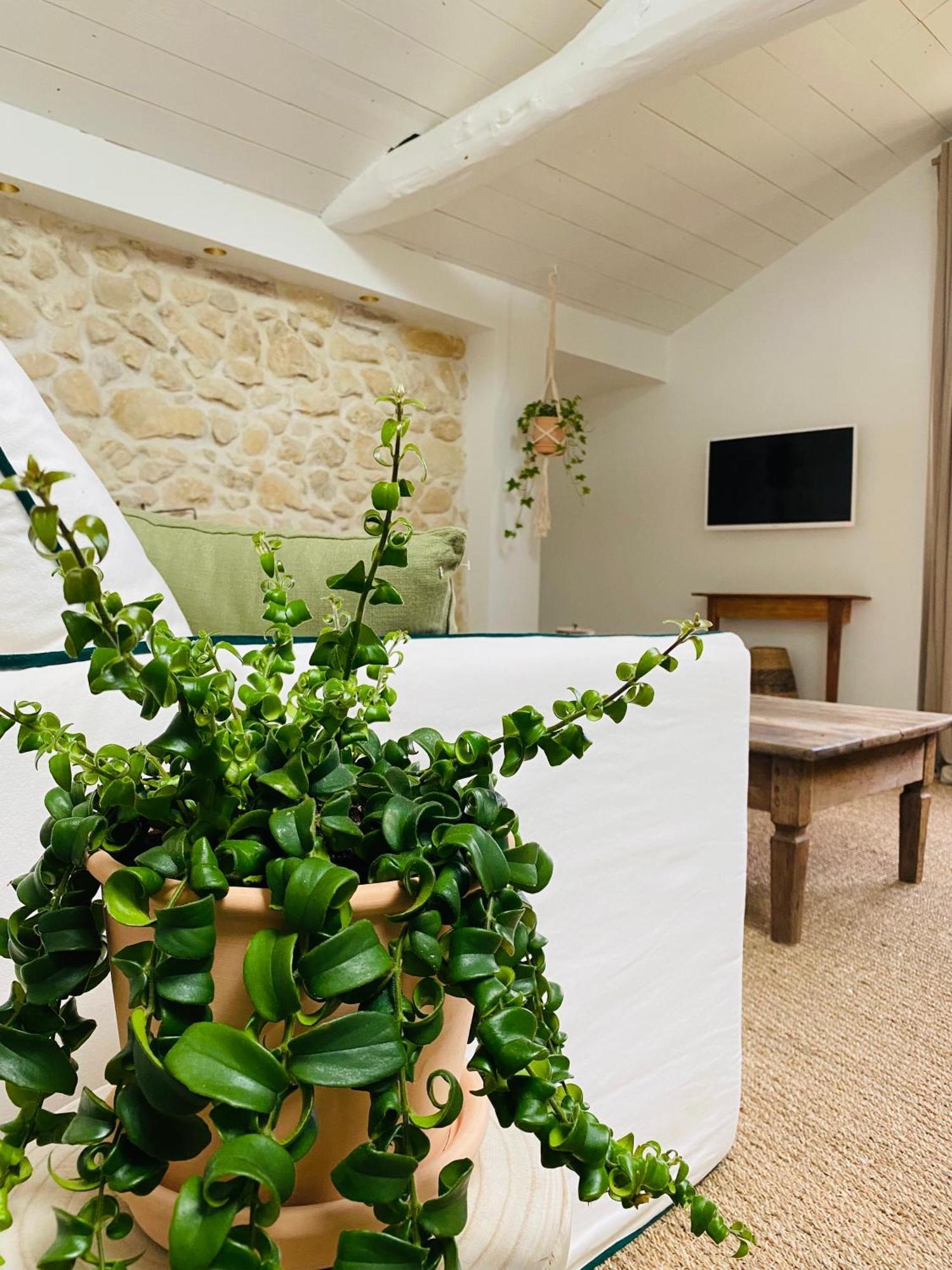 La Bastide De Guiche Entre Ocean Et Montagnes公寓 外观 照片