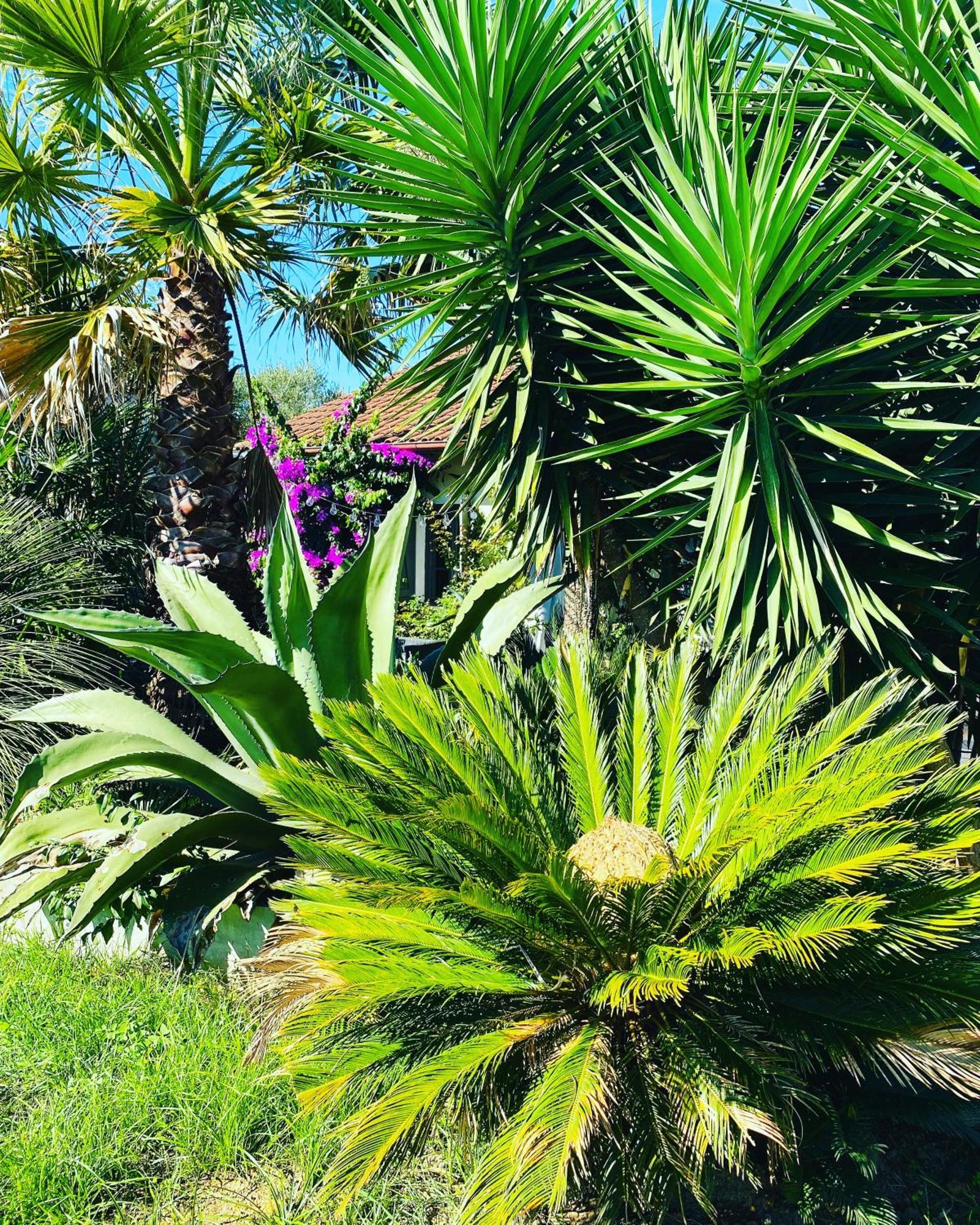 La Bastide De Guiche Entre Ocean Et Montagnes公寓 外观 照片